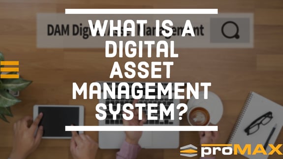 Sneak peak of the ProMAX Digital asset management system (DAM)