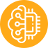 brain